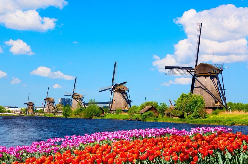 Kinderdijk, Delft e L’Aia