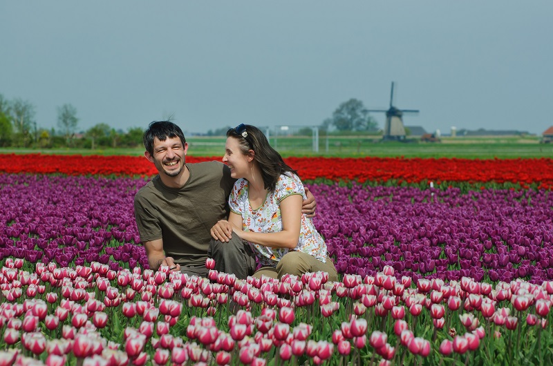Giardini di Keukenhof e campi di tulipani a Noordwijkerhout, Hillegom e Lisse