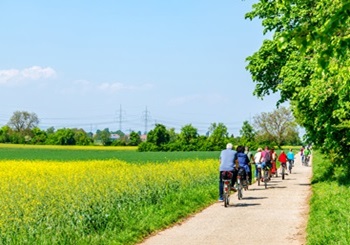 Private Fahrradtour – Entdecken Sie die ländliche Umgebung nördlich von Amsterdam – Käse und Holzschuhe
