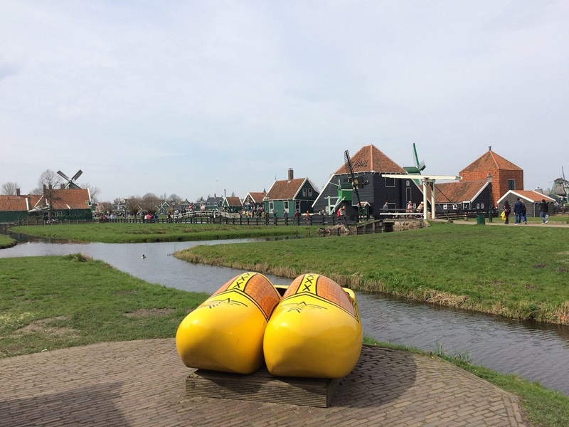Zaanse Schans Windmills Guided Half Day Tour from Amsterdam