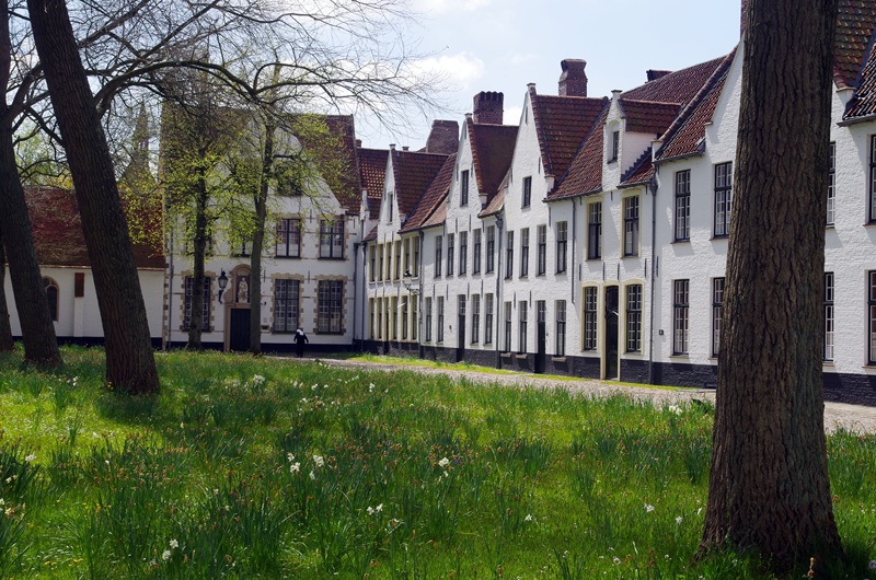 Van Amsterdam: Privérondleiding naar Brugge