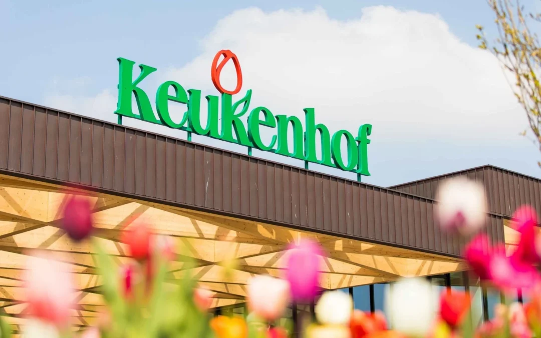 Keukenhof, Zaanse Schans, Volendam, Caseificio e Monnickendam